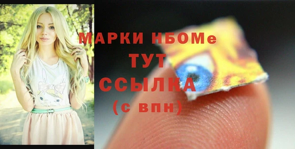 шишки Богородицк