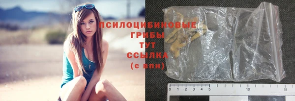 крисы Богородск