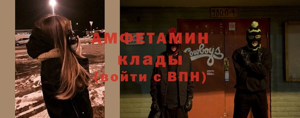 соль ск Инсар