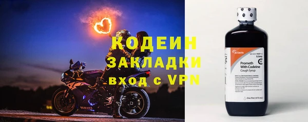 шишки Богородицк