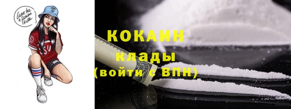 шишки Богородицк