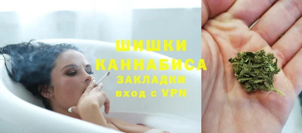 мяу мяу кристалл Богданович