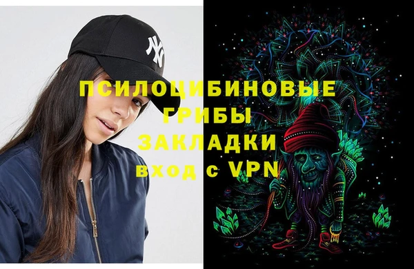 мяу мяу кристалл Богданович