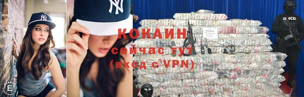 крисы Богородск