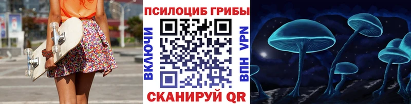 цена   Называевск  Галлюциногенные грибы Psilocybine cubensis 